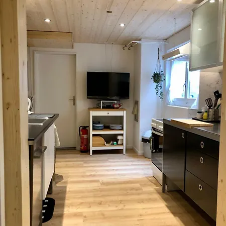 Pansiyon Zulg-doppelzimmer Mit Gartenblick Steffisburg