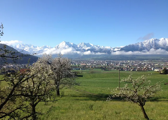 Gemuetliches Doppelzimmer Mit Gartenblick Und Oev
